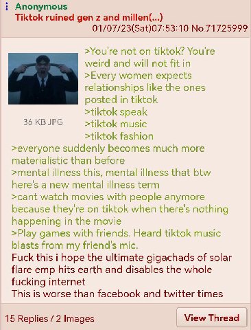 Anonymous Tiktok ruined gen and millen(...) 01/07/23(Sat)07:53:10 No.71725999 >You're not on tiktok? You're weird and will not fit in >Every women expects relationships like the ones posted in tiktok 