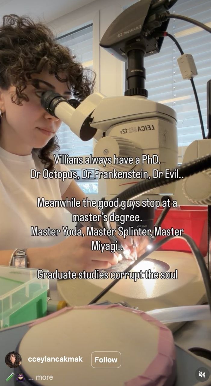 ways have a PhD. Octopus Evil.. Meanwhile the 9000.9 stop.at a master’s degree. Master Yoda, Master Master tie Graduate тоге