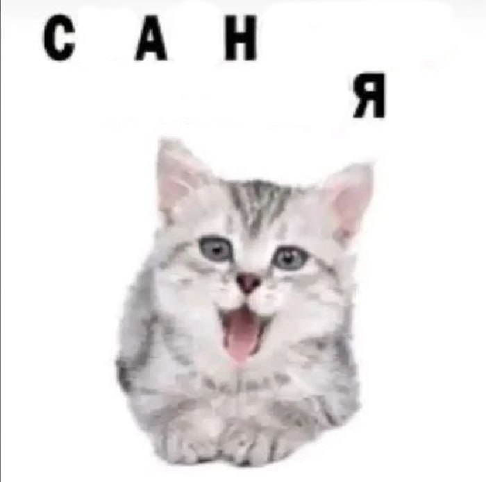 САН