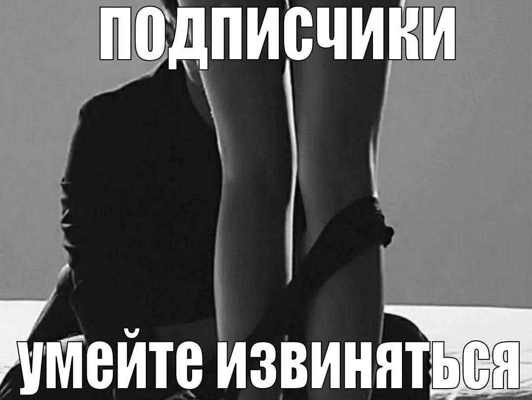 ПОДПИСЧИКИ К