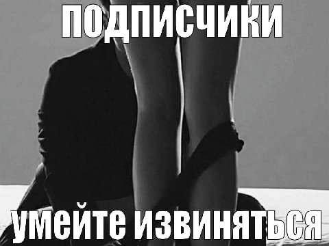 ПОДПИСЧИКИ К