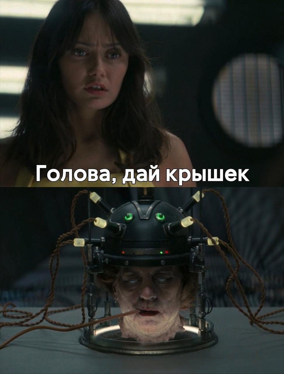 Голова, дай крышек