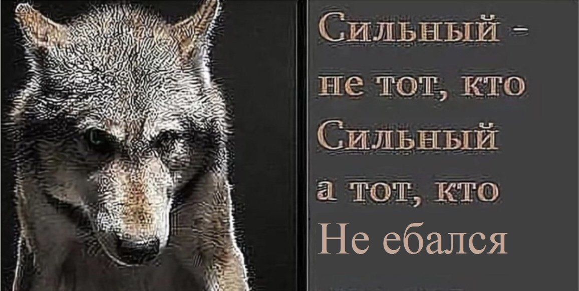 Сильный “A а тот, кто He ебался