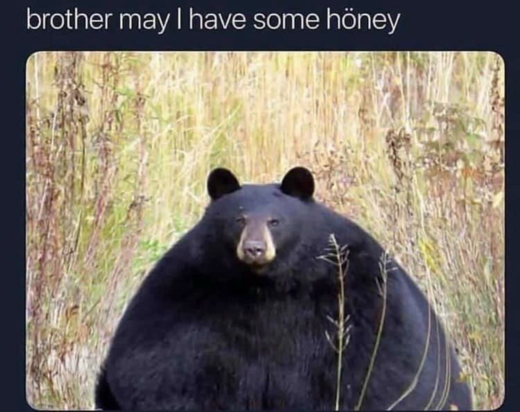 brother may have some 4,