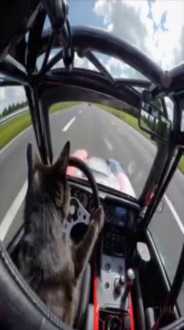 мем