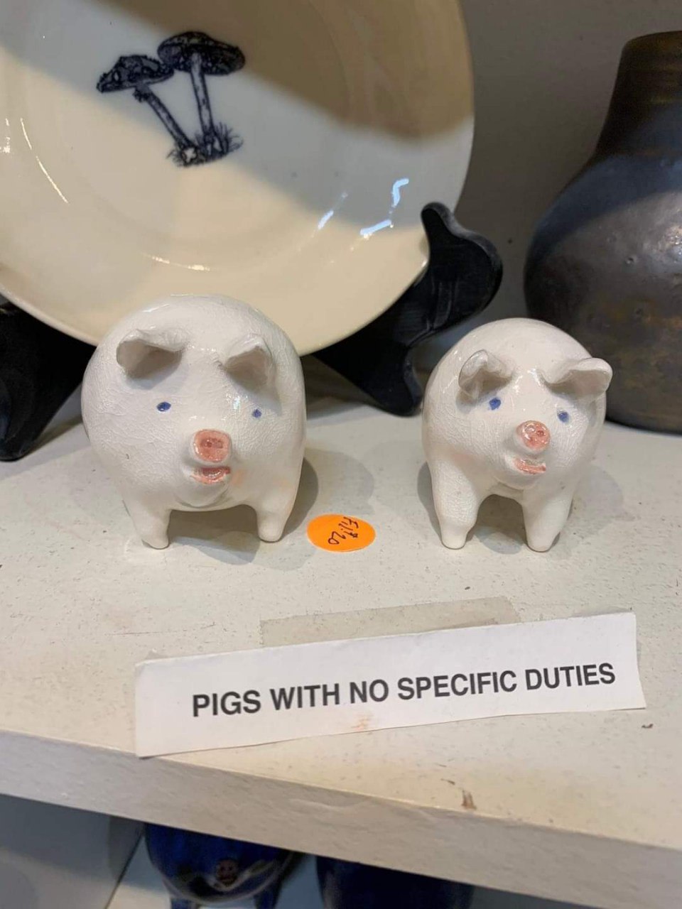 PIGS WITH NO SPECIFIC DUTIES