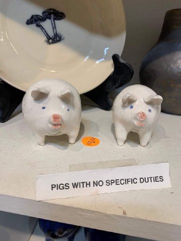 PIGS WITH NO SPECIFIC DUTIES