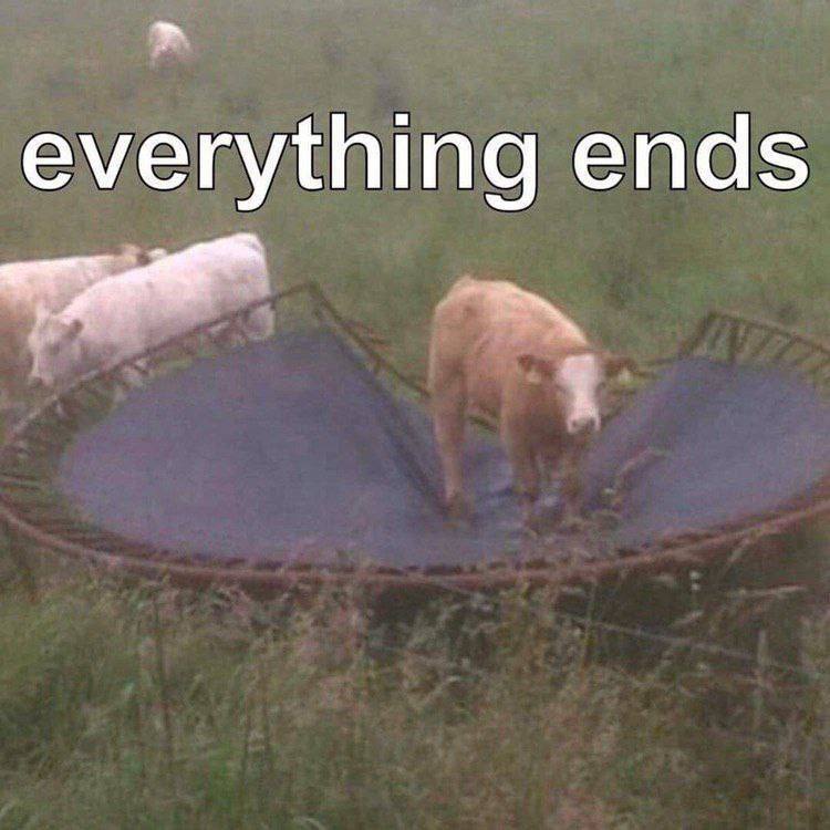 everything ends