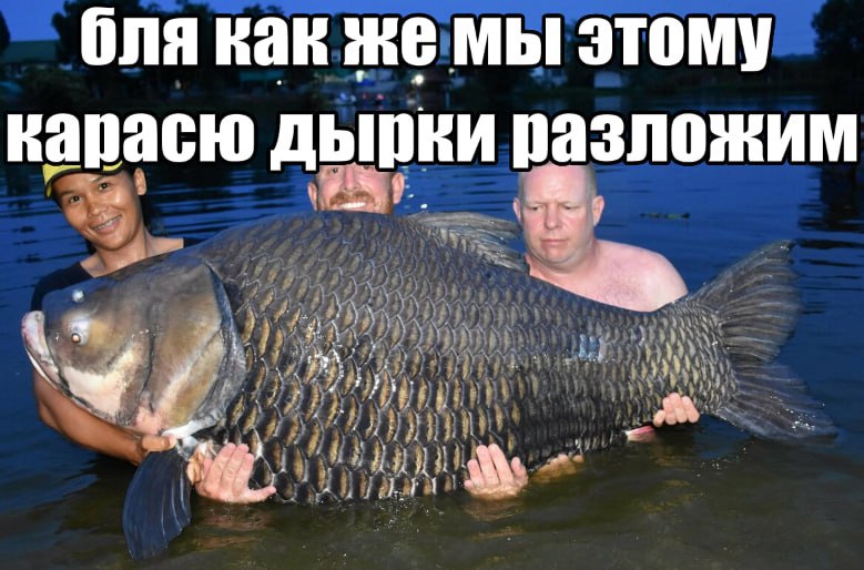бля как же мы этому карасю дырки пазложим ere