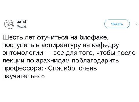 exizt Читать @exizt Шесть лет отучиться биофаке, поступить в аспирантуру на кафедру энтомологии все для того, чтобы после лекции по арахнидам поблагодарить профессора: «Спасибо, очень паучительно»