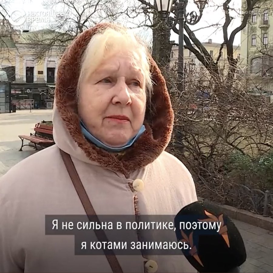 a Я не сильна в политике, поэтому я котами занимаюсь.