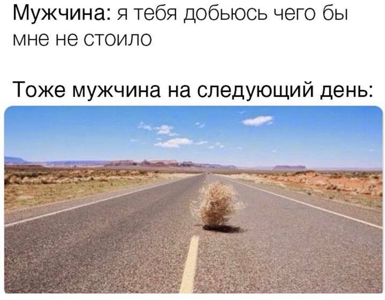 Мужчина: я тебя добьюсь чего бы мне не стоило Тоже мужчина на следующий день: