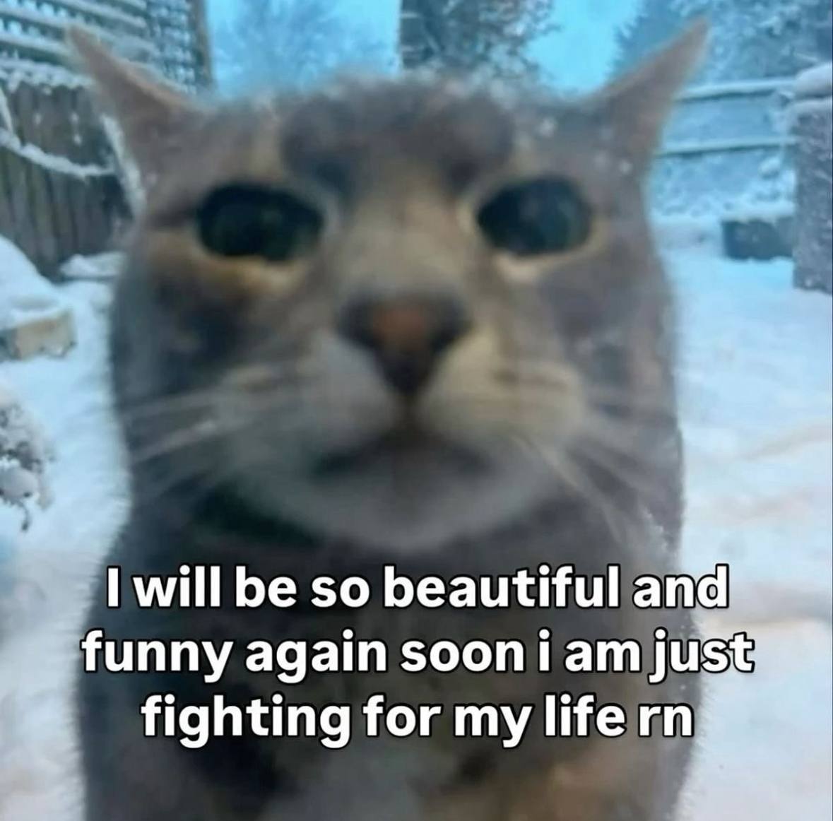 will be so beautiful and funny again sooni amjust fighting for my Шегп