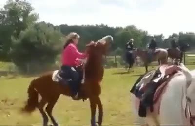 мем