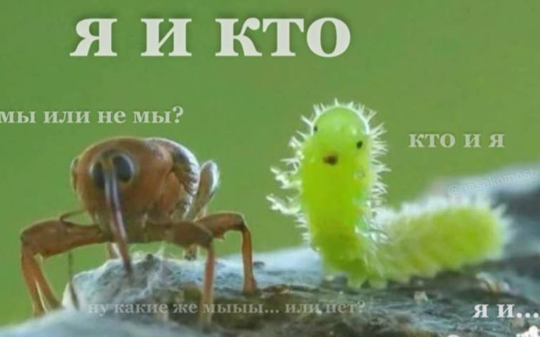 мы или не мы? ктоия 4 какие