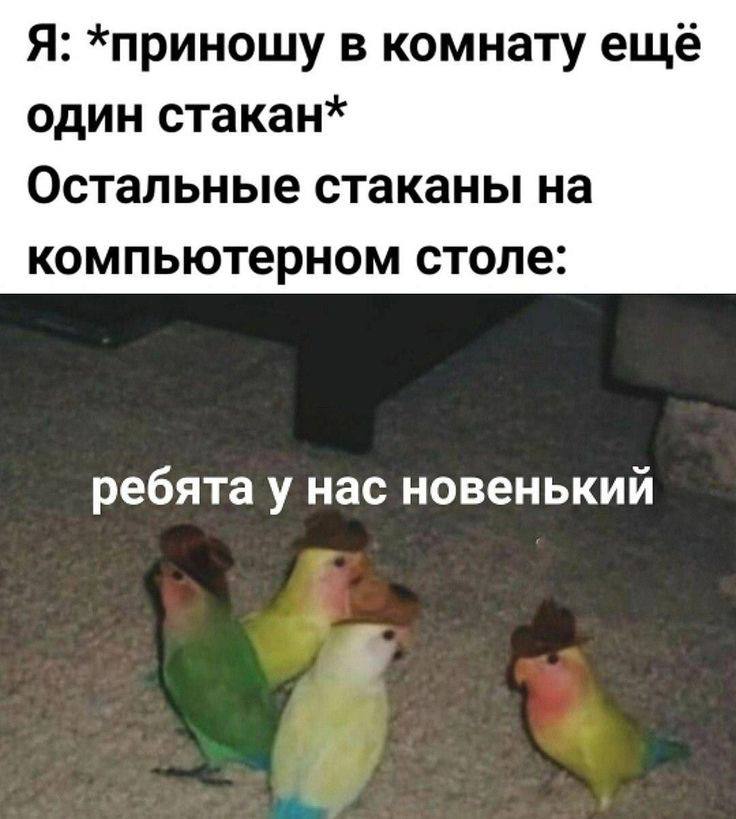 Я: *приношу в комнату еще один стакан* Остальные стаканы на компьютерном столе: ребята у нас новенький