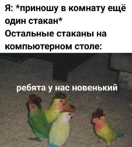 Я: *приношу в комнату еще один стакан* Остальные стаканы на компьютерном столе: ребята у нас новенький