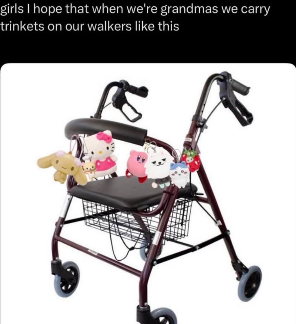 girls hope that when we're grandmas we carry trinkets on our walkers like this 4 4