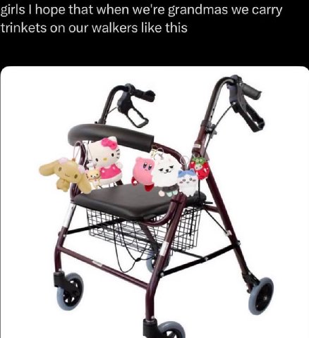 girls hope that when we're grandmas we carry trinkets on our walkers like this 4 4