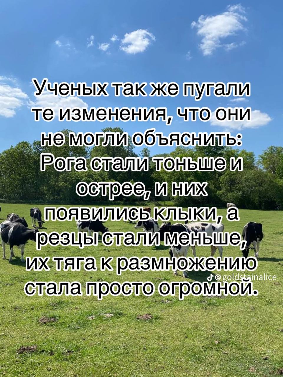 Ученыжтаюже пугали теизменения, объяснить ога И Men [К размнежени о) стала росто