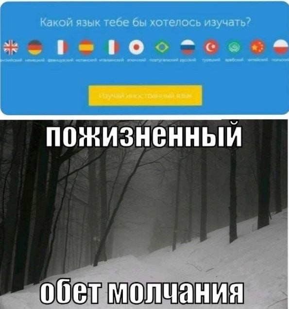 Какой язык тебе бы хотелось изучать?