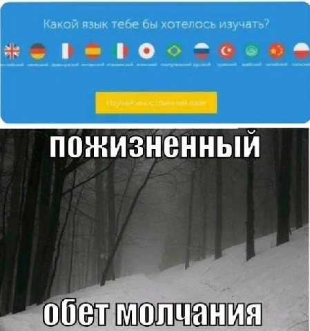 Какой язык тебе бы хотелось изучать?