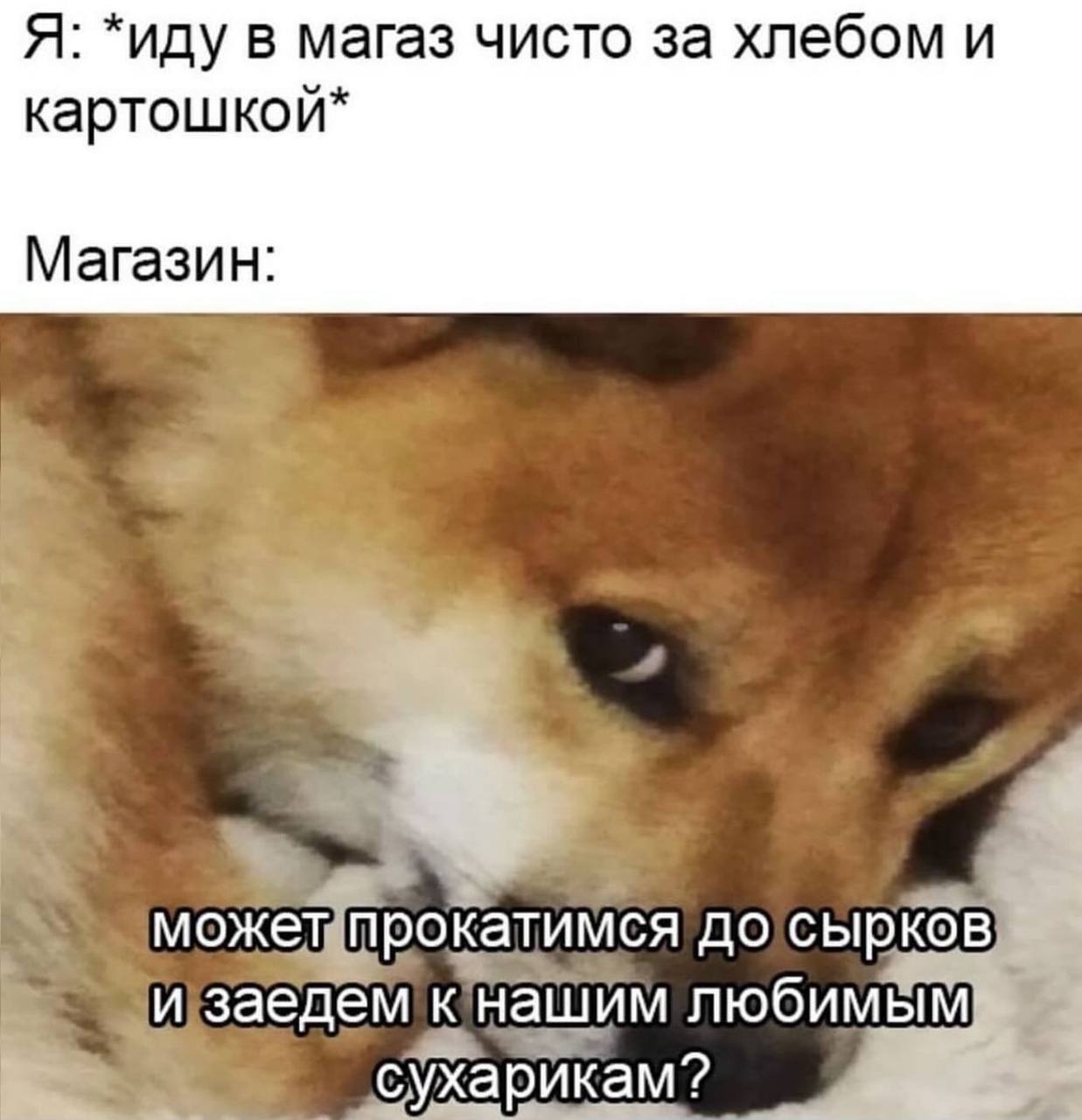 Я иду в магаз чисто за хлебом и картошкои Магазин может прокатимся до сырков заедем нашим любимым ухарикам?