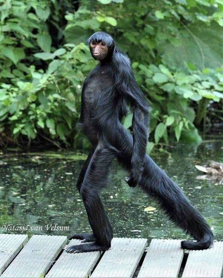 рилейчусь