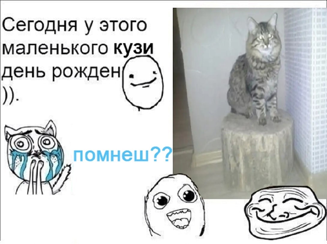 Сегодня у этого маленького кузи день рожден