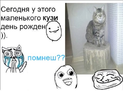 Сегодня у этого маленького кузи день рожден