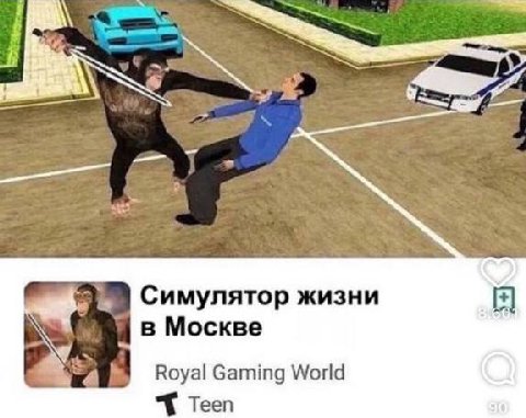 Симулятор жизни в Москве Royal Gaming World Teen