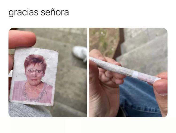 gracias зейога