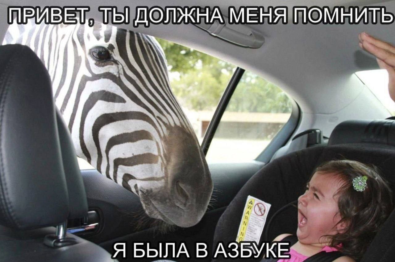 ТЫ ДОЛЖНА МЕНЯ ПОМНИТЬ Ire Я БЫЛА В АЗБУКЕ-