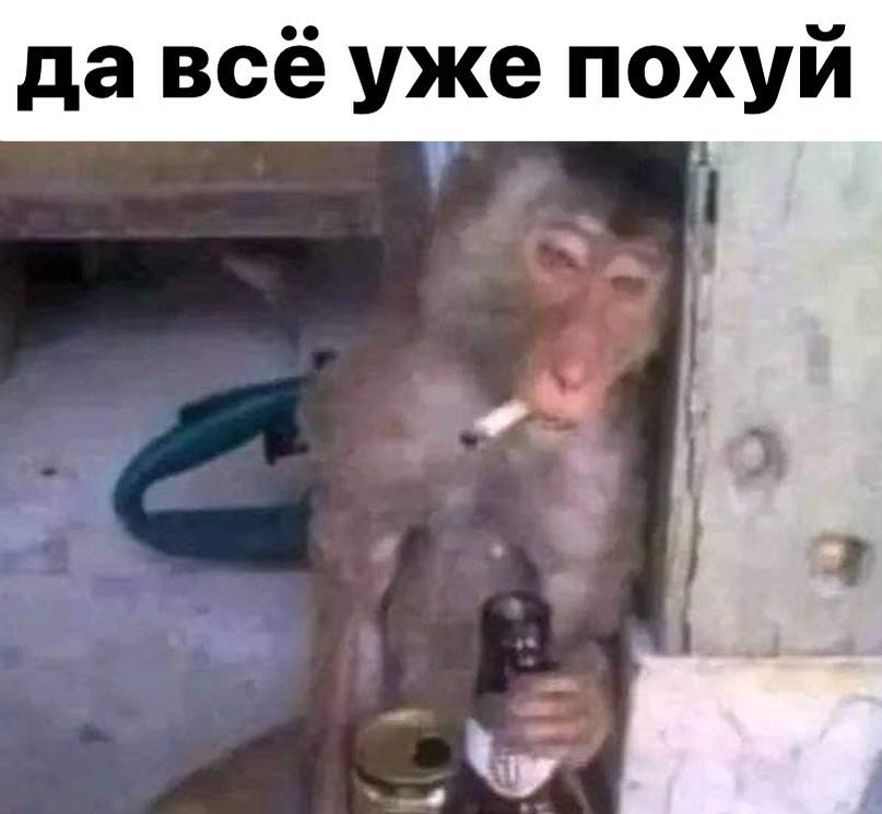 давсё уже похуй