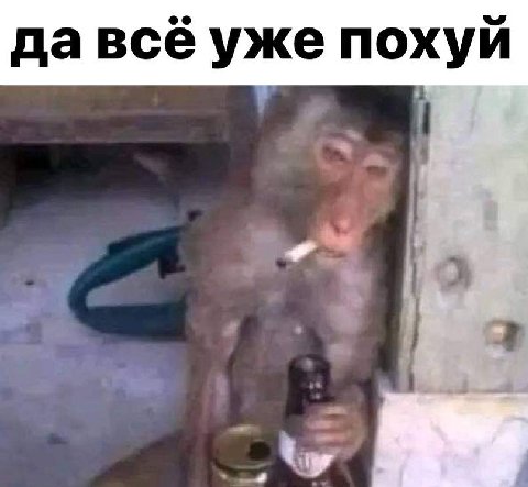 давсё уже похуй