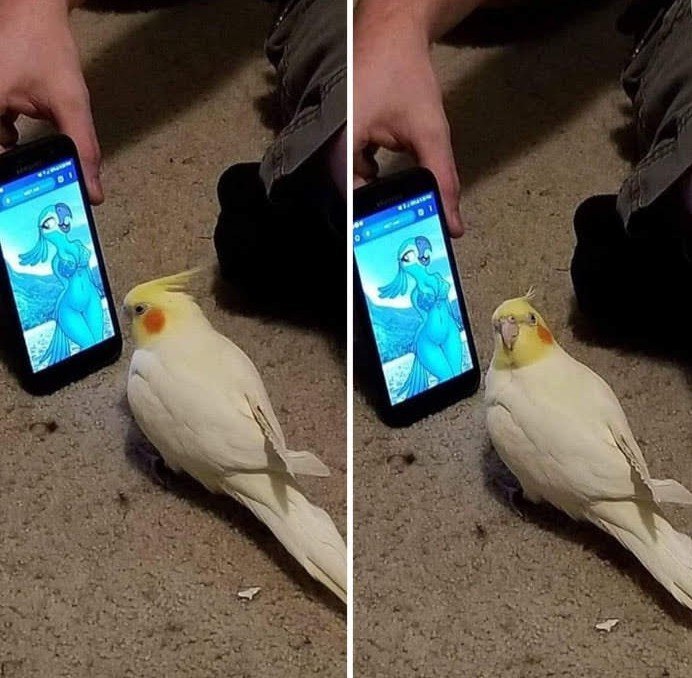 к