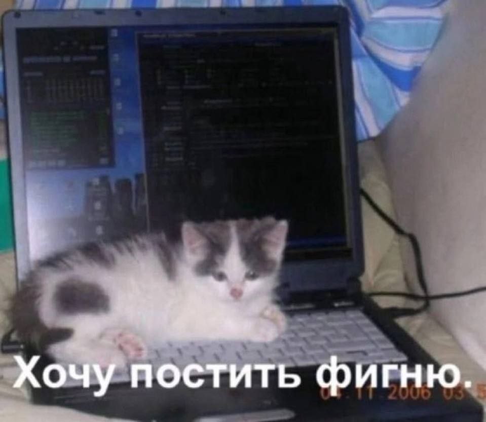 Хочу постить фигню.