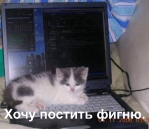 Хочу постить фигню.