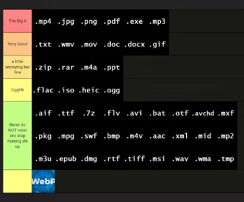 jpg png pdf ехе wmv mov doc gif alittle annoying but fine rar ppt 150 heic ogg aif ttf flv bat .avchd .mxf these NOT exist bro stop pkg mpg swf bmp aac making shi up epub dmg rtf tiff msi маму .tmp