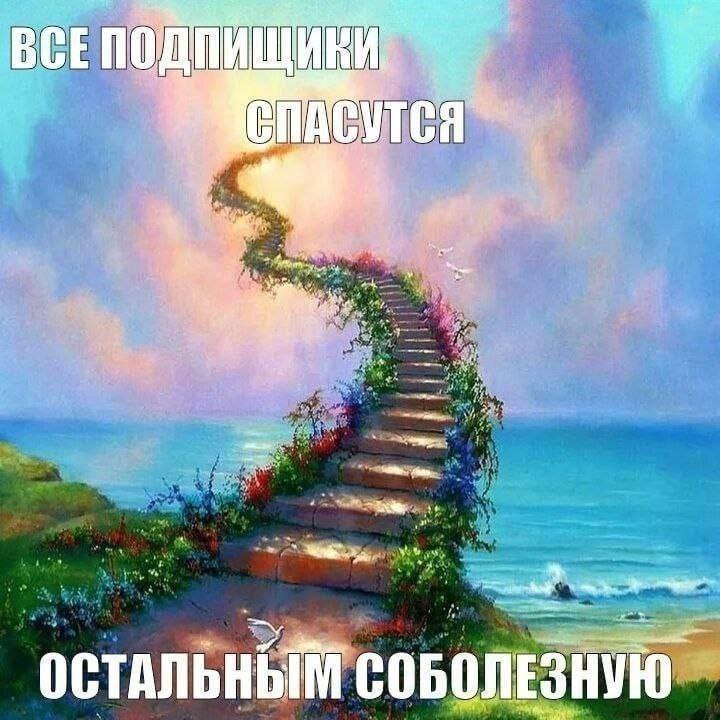 5. ОСТАЛЬНЫМ СОБОЛЕЗНУЮ