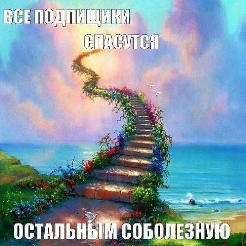 5. ОСТАЛЬНЫМ СОБОЛЕЗНУЮ