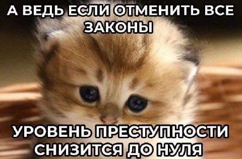 А ВЕДЬ ЕСЛИ: BCE ЗАКОНЫ УРОВЕНЬ. ПРЕСТУП НОСТИ СНИЗИТСЯ до НУЛЯ