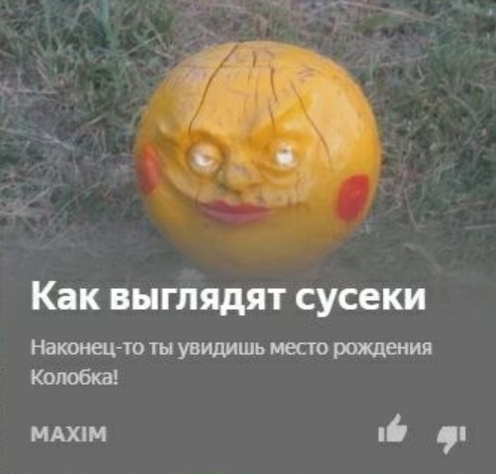 Как выглядят сусеки Наконец-то ты увидишь место рождения Колобка! МАХ!М if