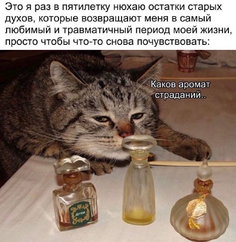 Это я раз в пятилетку нюхаю остатки старых духов, которые возвращают меня в самый любимый и травматичный период моей жизни, просто чтобы что-то снова почувствовать: Каков аромат