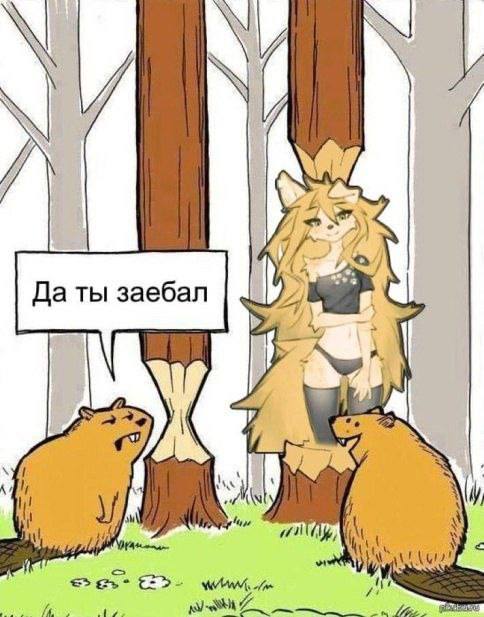 А Да ты заебал A 4