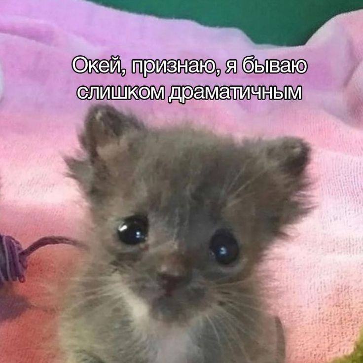 Окей, признаю, я бываю слишком драматичным a