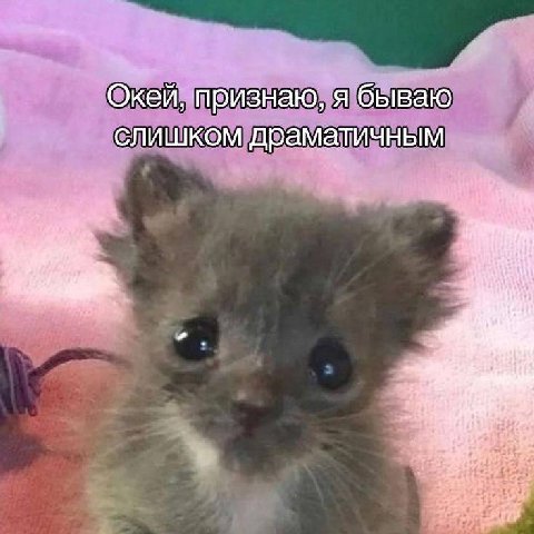 Окей, признаю, я бываю слишком драматичным a
