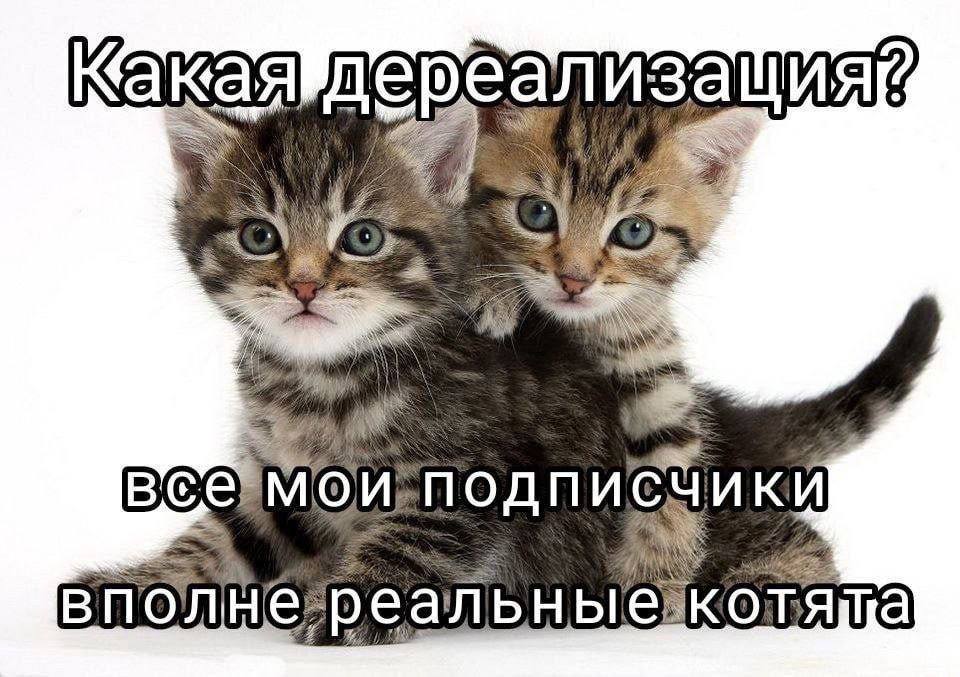 all а вполнереальныековяща
