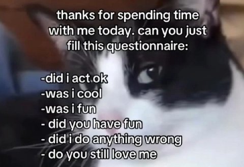 thanks for spending time with me today. can you just fill this questionnaire wastifun did youJhaveyfun did i wrong you me
