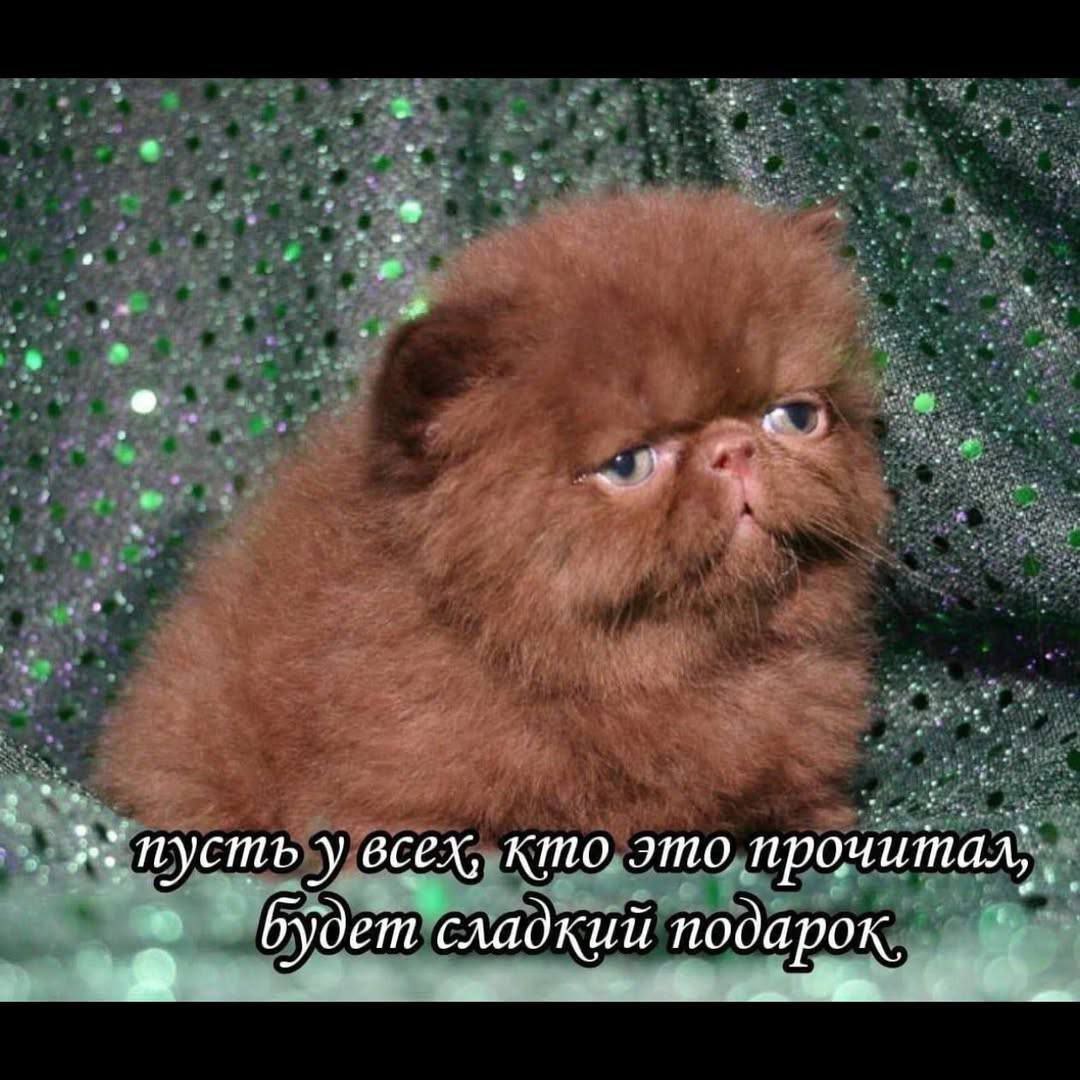 Пусть у всех, кто это пронитал, сладкий подарок,